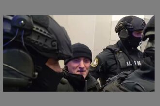 horatiu potra fiul si nepotul sau arestati pentru 30 de zile decizia nu este definitiva 692055e21957e