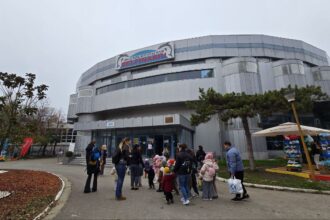 live foto video complexul muzeal de stiinte ale naturii constanta a pregatit bucurii pentru copii si adulti de ziua dobrogei spctacole cu delfini activitati educative si recreative ii asteapta pe v 6916f0f5623bc