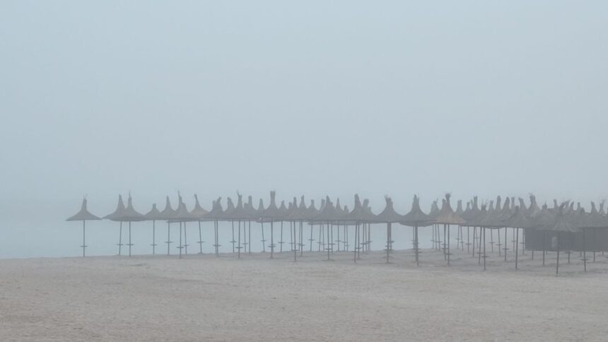 meteo cod galben de ceata in dobrogea vezi pana cand e valabila avertizarea meteo 691822dcc6710