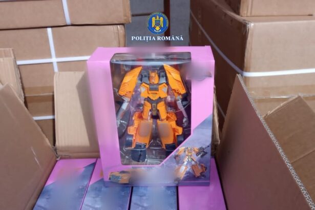 mii de jucarii contrafacute descoperite in portul agigea cine era destinatarul containerului 6908c859805c9