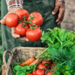 ministerul agriculturii a finalizat platile catre producatorii din sere si solarii 300 de milioane de lei pentru legumele romanesti 692609c6cde54