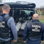 ministra mediului mafia gunoaielor trebuie oprita amenzi uriase si tone de deseuri confiscate in dambovita 690ba49a14702