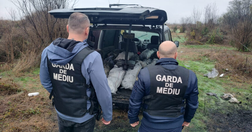 ministra mediului mafia gunoaielor trebuie oprita amenzi uriase si tone de deseuri confiscate in dambovita 690ba49a14702