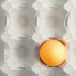 motivul pentru care in unele magazine se gasesc tot mai putine oua fermierii le exporta pentru ca primesc bani mai multi 6915a3f8cad08