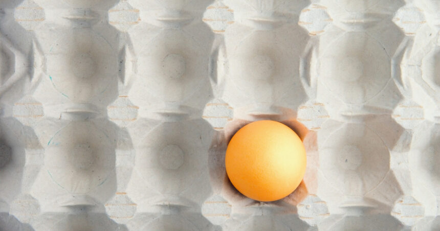 motivul pentru care in unele magazine se gasesc tot mai putine oua fermierii le exporta pentru ca primesc bani mai multi 6915a3f8cad08