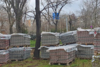 negoita acuzat ca vrea sa transforme parcul ior intr un balci de beton cetatenii cer printr o petitie protejarea spatiului verde 690b7363233b9