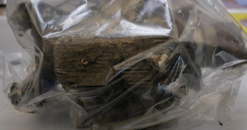 news alert ambasadorul rusiei la bucuresti convocat la sediul mae dupa ce o drona a cazut in zona grindu o violare a suveranitatii romaniei 6917627d09488