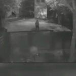 news alert nereguli grave descoperite in dosarul femeii ucise de sot in teleorman procurorul de caz cercetat disciplinar 691ad87587bc0