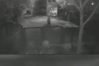 news alert nereguli grave descoperite in dosarul femeii ucise de sot in teleorman procurorul de caz cercetat disciplinar 691ad87587bc0