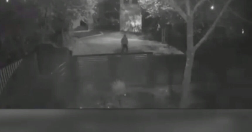 news alert nereguli grave descoperite in dosarul femeii ucise de sot in teleorman procurorul de caz cercetat disciplinar 691ad87587bc0