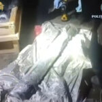 nicusor dan vede o micuta zona in care statul functioneaza dupa ce vamesii au oprit un transport ilegal de arme la albita 69205a283cf0e