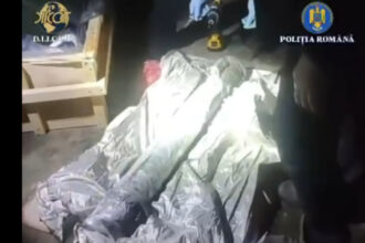 nicusor dan vede o micuta zona in care statul functioneaza dupa ce vamesii au oprit un transport ilegal de arme la albita 69205a283cf0e