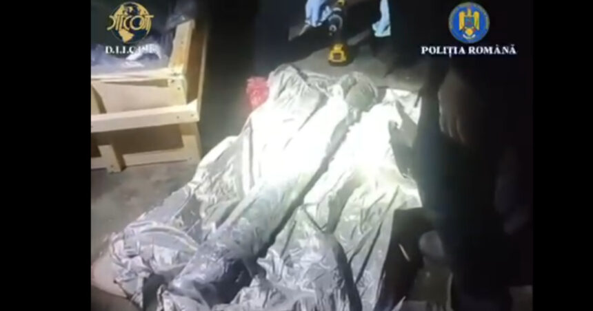 nicusor dan vede o micuta zona in care statul functioneaza dupa ce vamesii au oprit un transport ilegal de arme la albita 69205a283cf0e