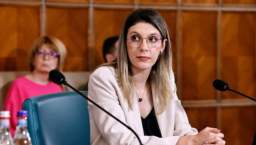 noi precizari despre programul rabla diana buzoianu nu putem garanta o noua editie anul viitor 69275dc9e094d