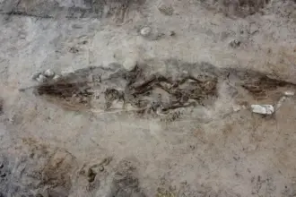 o femeie din epoca vikingilor ingropata alaturi de cainele ei intr un mormant barca 691bda922f50d