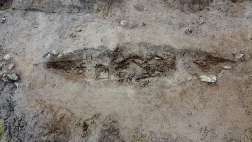 o femeie din epoca vikingilor ingropata alaturi de cainele ei intr un mormant barca 691bda922f50d