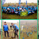 oameniidigi au plantat 5 200 de puieti la cea de a doua editie padurea digi fiecare copac o schimbare 691b3059515cc