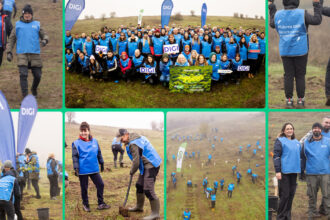 oameniidigi au plantat 5 200 de puieti la cea de a doua editie padurea digi fiecare copac o schimbare 691b3059515cc