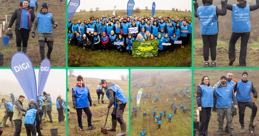 oameniidigi au plantat 5 200 de puieti la cea de a doua editie padurea digi fiecare copac o schimbare 691b3059515cc