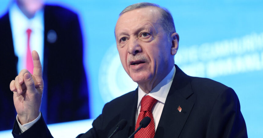 oana toiu presedintele nicusor dan l a invitat pe recep tayyip erdogan in vizita oficiala de stat in romania anul viitor 690e3d2268f57