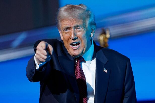 partenerul de afaceri al lui nelutu varga s a asociat cu donald trump pentru construirea trump tower in romania 690c5d6625835