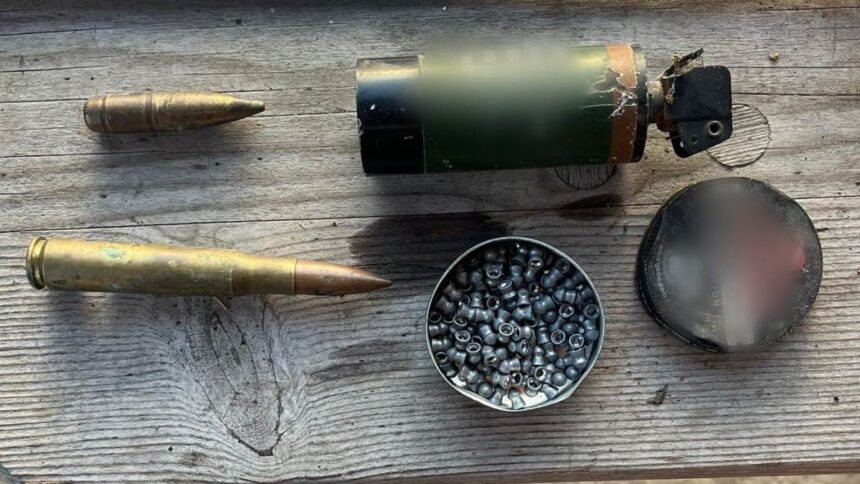 perchezitii in localitatea remus opreanu la persoane care detineau ilegal arme si munitie 6920711a802bb