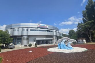 peste 20 000 de elevi din mediul rural vor avea parte la complexul muzeal de stiinte ale naturii constanta de experiente educative si lectii deschise proiectul debuteaza in decembrie 6911dfb12534d