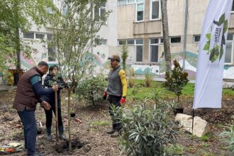 proiect ecologic si artistic la colegiul national de arte regina maria din constanta curtea interioara a devinit spatiu verde si galerie de arta in aer liber 6920246e9ec41