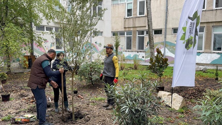 proiect ecologic si artistic la colegiul national de arte regina maria din constanta curtea interioara a devinit spatiu verde si galerie de arta in aer liber 6920246e9ec41