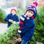 romsilva scoate la vanzare 16 000 de pomi de craciun care sunt preturile pentru achizitia directa de la ocoalele silvice 692831bd7a35c