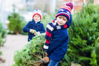 romsilva scoate la vanzare 16 000 de pomi de craciun care sunt preturile pentru achizitia directa de la ocoalele silvice 692831bd7a35c