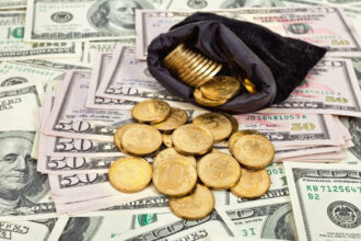 statele unite au oprit productia unei monede a carei productie costa de patru ori mai mult decat valoare ei 691580ccb2a6a