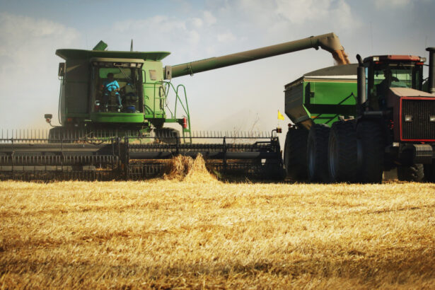 subventia apia fost redusa de la 58 la 20 euro ha ce spun fermierii 690b70cd6cec7