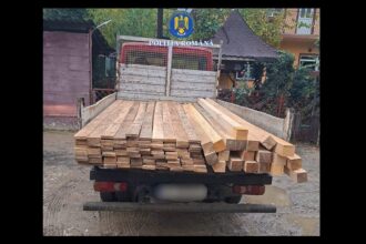 transport ilegal de lemne oprit in trafic de politistii din baneasa 69146a14e9467