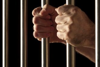 un barbat de 40 de ani a ajuns dupa gratii pentru ca a omorat o pisica 691de3dd51e0a