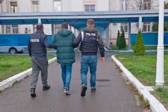 un barbat din constanta retinut de politisti pentru uciderea unei pisici 691ec84e6ff5d