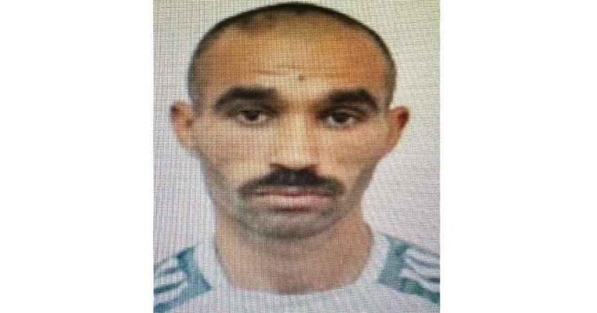 un tanar a disparut din cobadin sunati la 112 daca il vedeti 69132341b0ccb