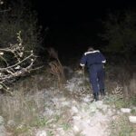 update alerta la murfatlar un barbat de 70 de ani disparut in padure 6906835e85c52