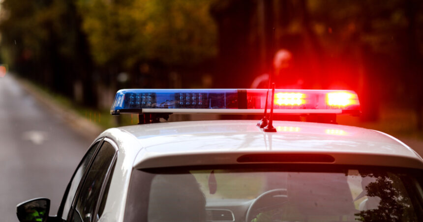 urmarire ca in filme la suceava un sofer a ignorat focurile de avertisment ale politistilor si a fugit intr un lan de porumb 691cd9c6903cb