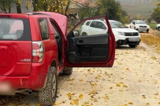 urmarire ca n filme sofer oprit cu focuri de arma in satul olteni din judetul constanta 690b52ba5eae6