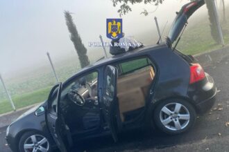 valu lui traian 250 de kilograme de articole pirotehnice descoperite intr un autoturism 6905f7a5e1c96