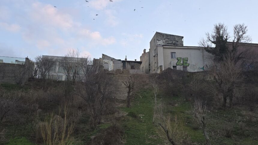 vergil chitac proiectul de consolidare a taluzului de la plaja modern va intra in licitatie publica este nevoie de interventia statului 691eebc9ace2a