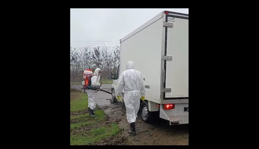 video a fost igienizat focarul de pesta porcina din navodari proprietarul amendat de dsvsa 6915cd3ee4b36