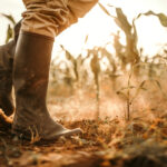 video agricultura din romania in pericol 75 milioane de hectare risca desertificarea avertismentul climatologilor 6908393476f1e