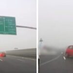video bizon pe autostrada sofer filmat cum conduce pe contrasens si evita la limita o alta masina decizia politistilor 6922c77f4d8e4
