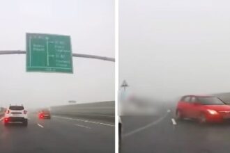 video bizon pe autostrada sofer filmat cum conduce pe contrasens si evita la limita o alta masina decizia politistilor 6922c77f4d8e4
