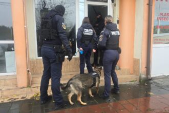 video constanta zeci de perchezitii cu mascatii la o grupare care exploata sexual minore si vindea droguri ce transmite oficial ipj constanta 691db2f449da6
