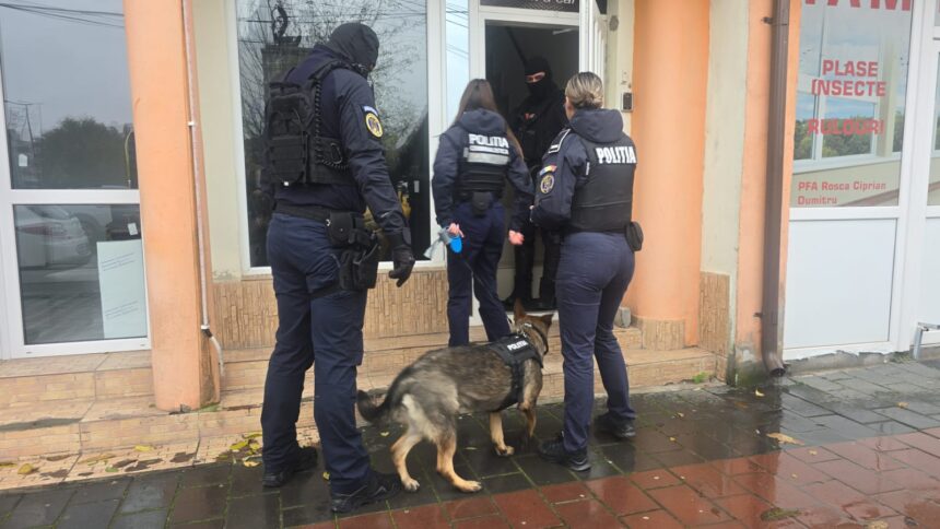 video constanta zeci de perchezitii cu mascatii la o grupare care exploata sexual minore si vindea droguri ce transmite oficial ipj constanta 691db2f449da6