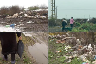video imagini revoltatoare campuri sufocate de gunoaie intr o comuna din olt localnicii si primarul se invinovatesc reciproc 6922b35460047