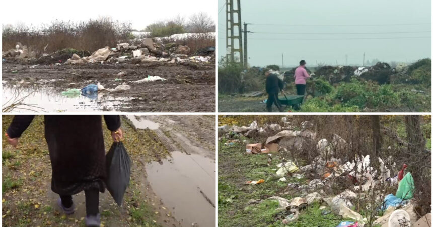 video imagini revoltatoare campuri sufocate de gunoaie intr o comuna din olt localnicii si primarul se invinovatesc reciproc 6922b35460047